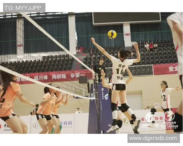 成都篮球队在城市联赛中以59分稳居积分榜首位展现强劲实力