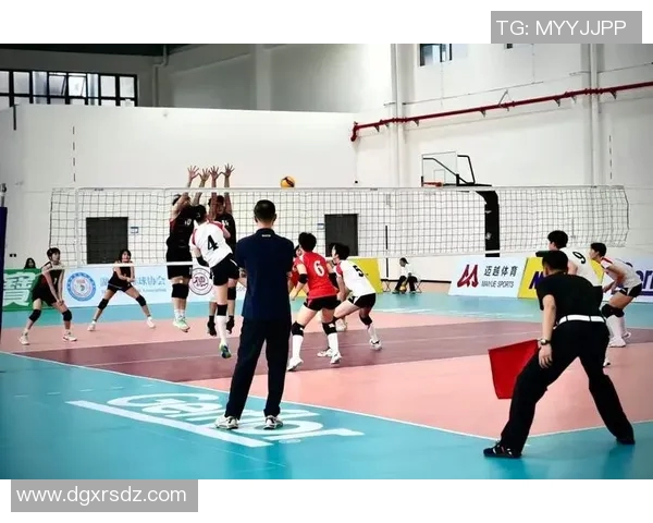 上海排球队夺冠最新排球团队协作榜单前十强揭晓 上海排球队夺冠最新排球团队协作榜单前十强揭晓