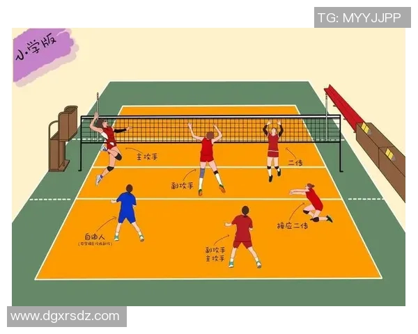 武汉排球队与成都排球队赛后复盘分析团队配合与战术执行的关键因素