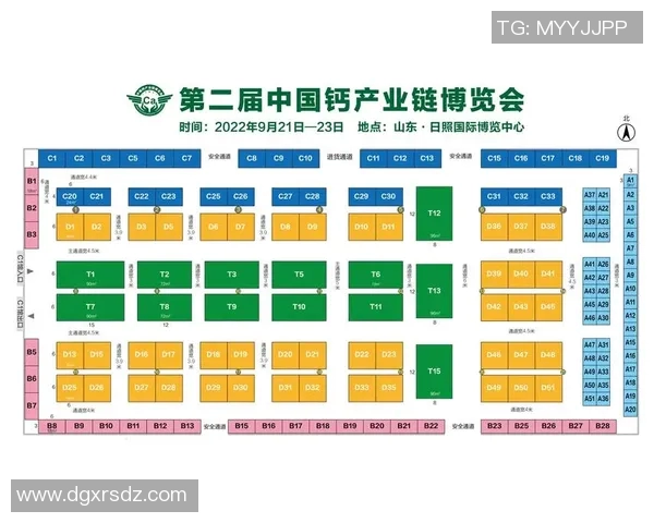 深入探讨上海乒乓球队近期状态及其对比分析的全景视角